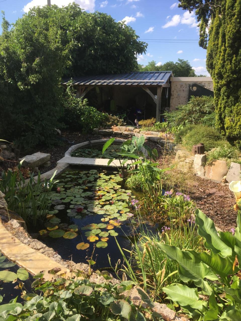 Maison D'Hotes Les Rainettes Breuillet  Exterior foto